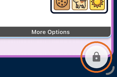 Lock button in the bottom right corner
