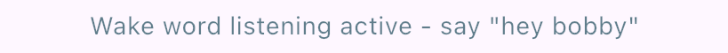 Status message: Wake word listening active, say hey bobby